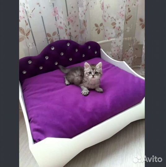 Перетяжка,ремонт мягкой мебели