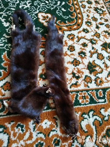 Шкурка животного