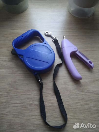 Одежда, поводок, когтерезка для собаки