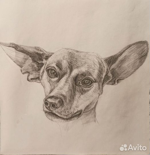 Портрет по фото карандашом