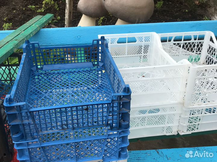 Ящики пластмассовые