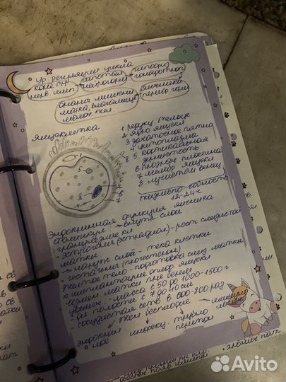 Написание конспектов