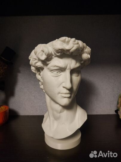 Цветочный горшок: бюст Давида