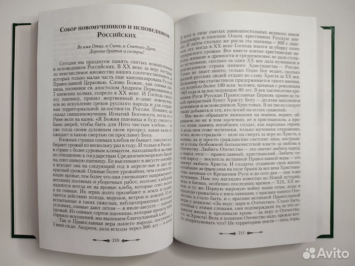 «Блюдите убо, како опасно ходите» Архимандрит Петр