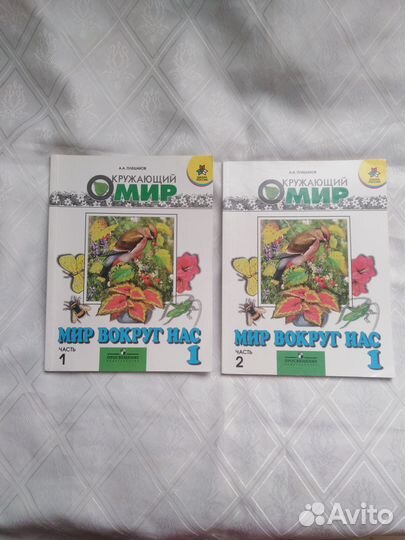 Окружающий мир 1 класс Плешаков, родная речь