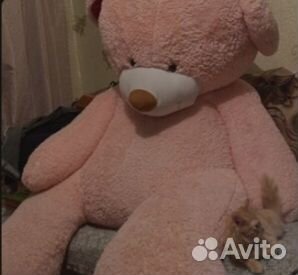 Огромный плюшевый медведь