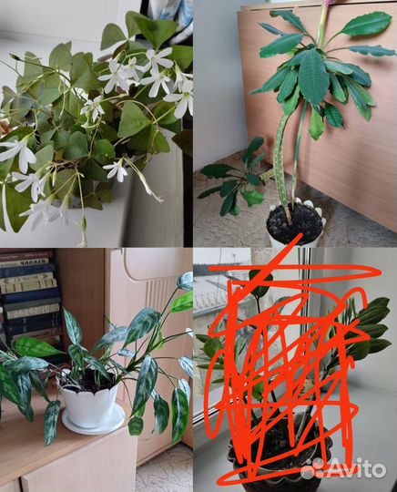 Для доставки