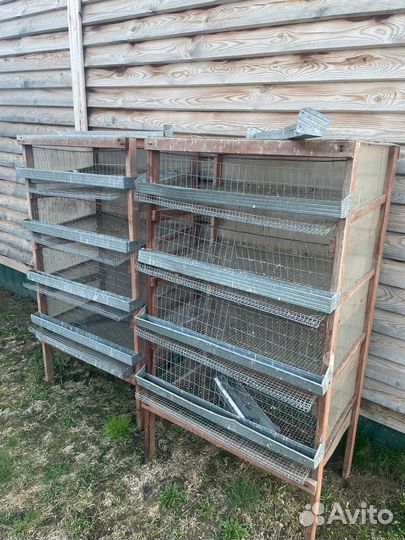 Клетки для перепелов бу