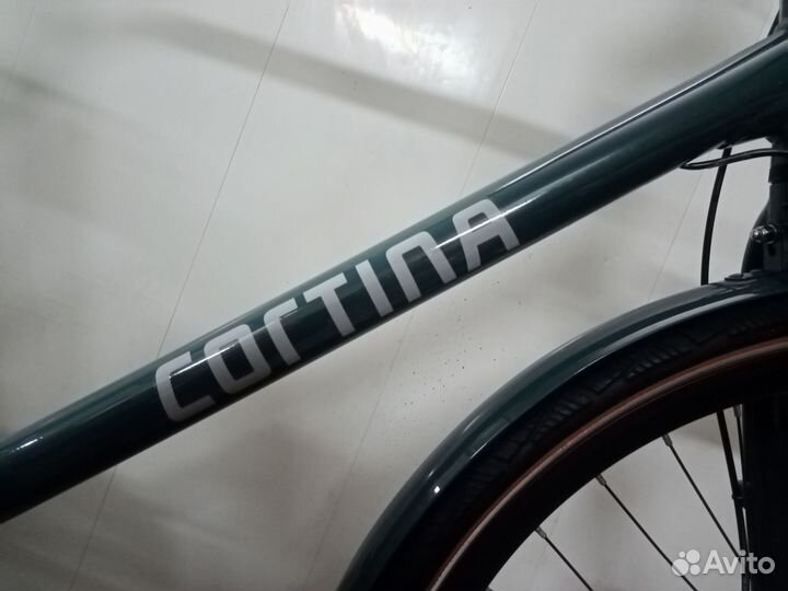 Cortina Mozzo 61 на ремне карбон и планетарке 8