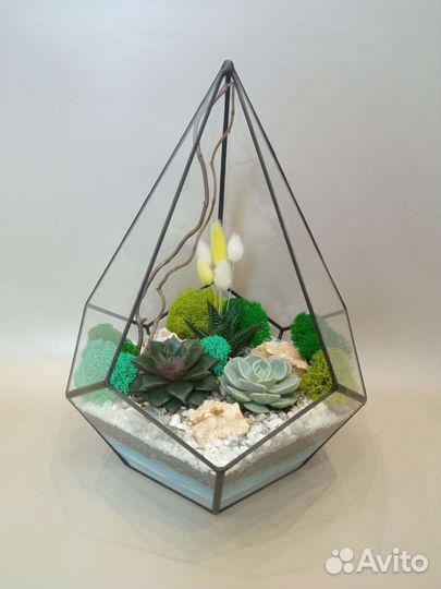 Флорариум с суккулентами