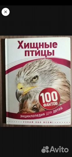 100 фактов