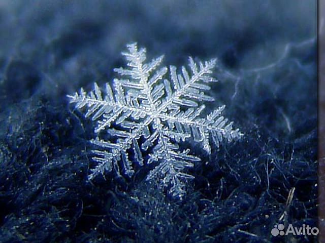 Заправка автокондиционеров и рефрижераторов в Колпино | Услуги | Авито