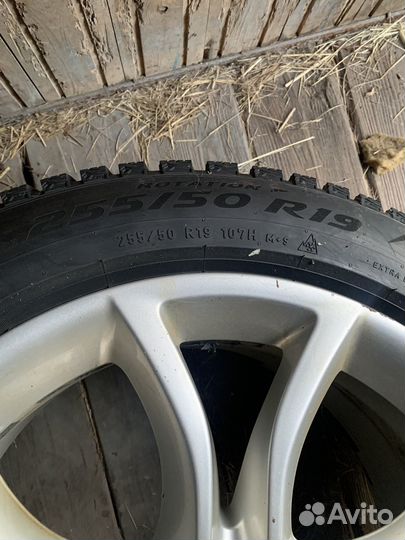 Pirelli Scorpion 255/50 R19