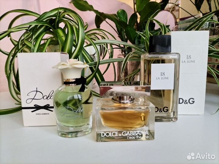 YSL, D&G, Kenzo, Lancome, Clinique, Lacoste