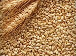 Продам пшеницу свежий урожай 2023г