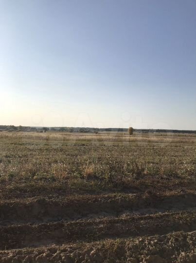 Участок 6 га (СНТ, ДНП)