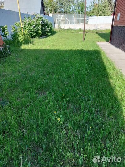 Газон универсальный