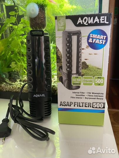 Рыбки Данио, Фильтр для аквариума