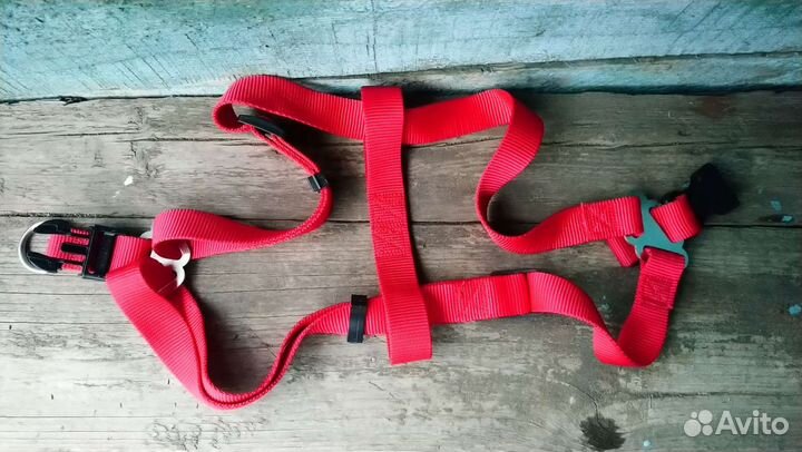 Шлейка для собаки