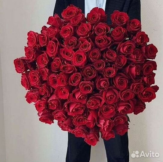 Высокие розы Гигантские розы 110