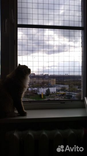 Решетка антикошка на окно