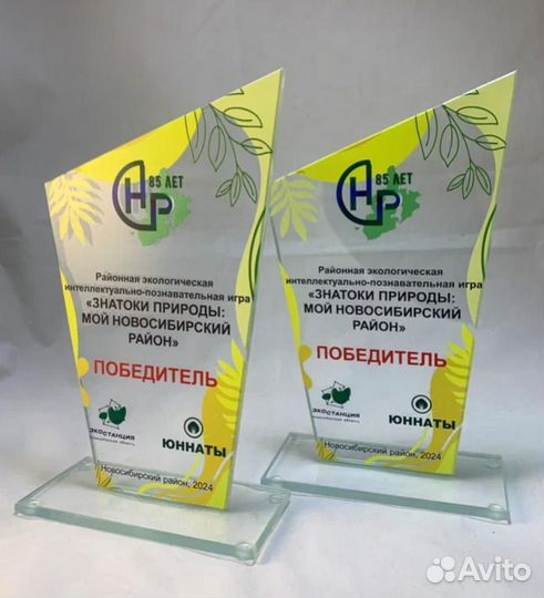 Награды / Призы / Под заказ из стекла