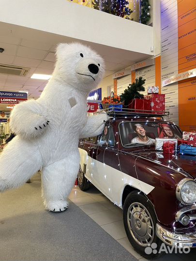 Поздравление от говорящего Белого Мишки или Панды