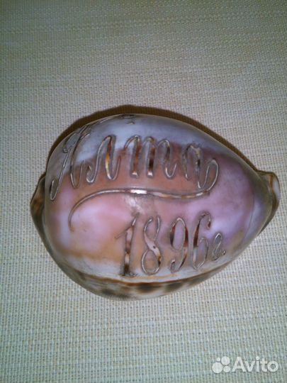 Ракушка с гравировкой 19 век