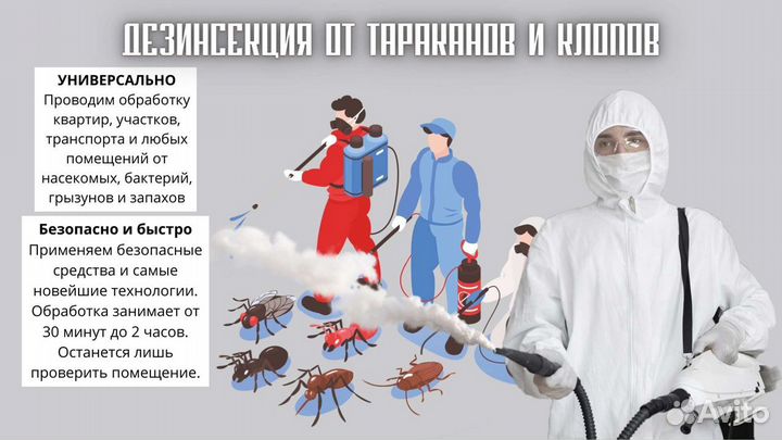 Уничтожение насекомых, запахов,плесени, борщевика