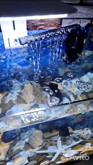 Аквариум 20 литров