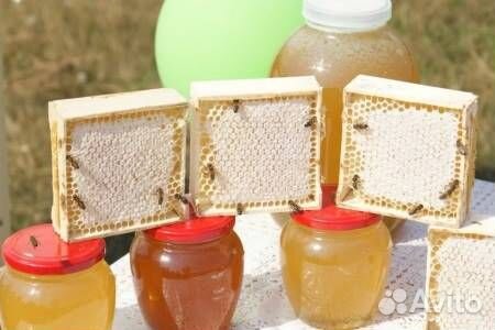 Мёд оптом - разные сорта со своей пасеки. Тула