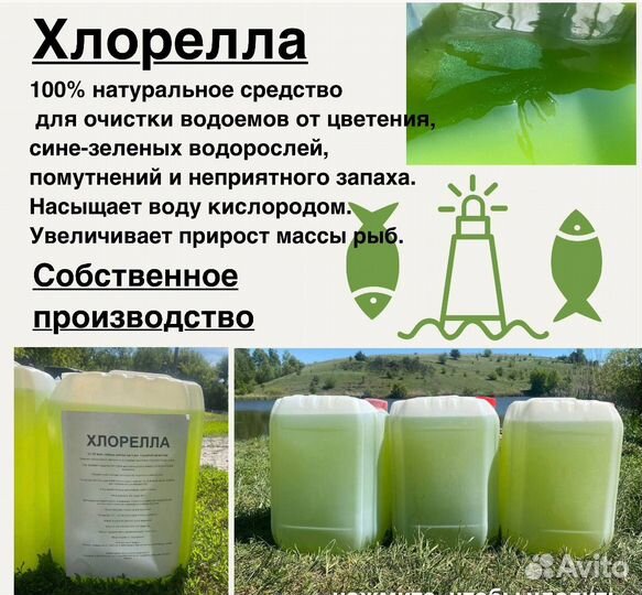 Хлорелла для пруда