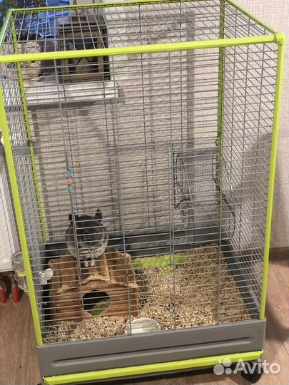 Передержка животных