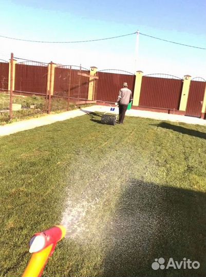 Рулонный газон