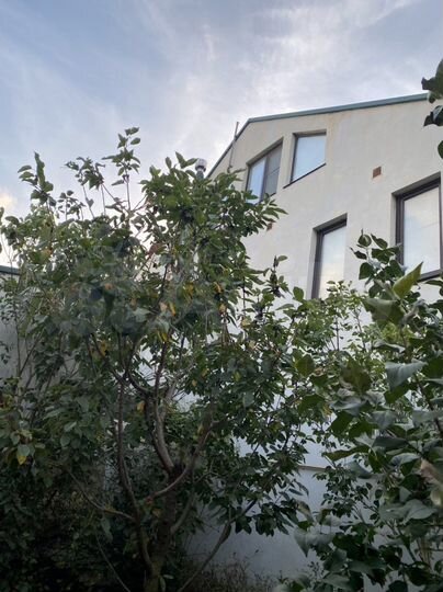 Дом 360 м² на участке 29 сот.