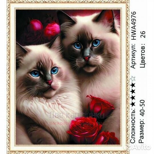 Алмазная мозаика 40x50 Кот с кошечкой и красные ро