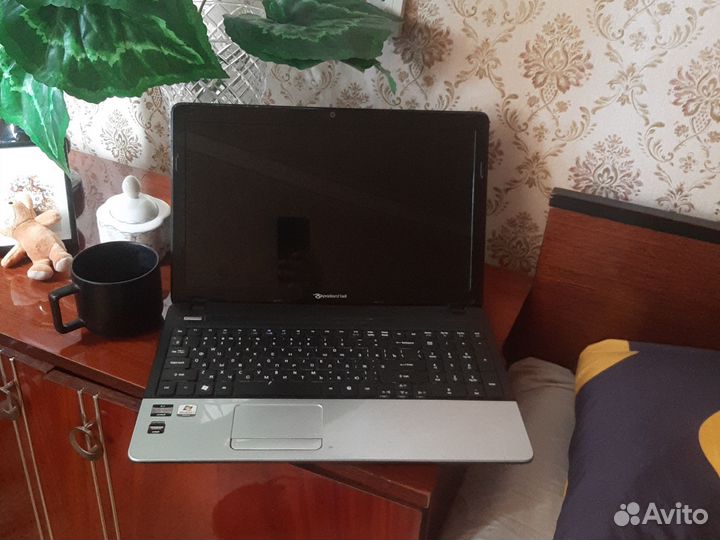 Packard bell