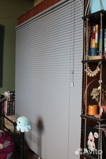 Террариум для игуаны