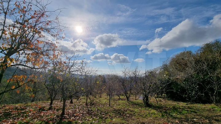 Участок 4,8 сот. (ИЖС)