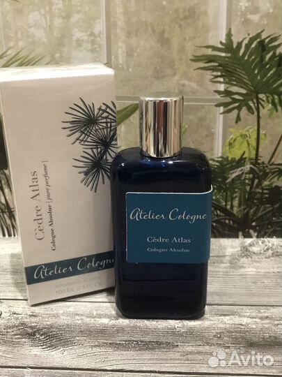 Atelier cologne cedre atlas 100 ml