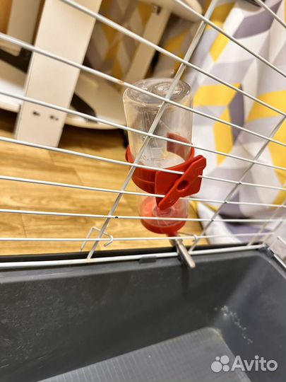 Клетка для кроликов и морских свинок с поильником