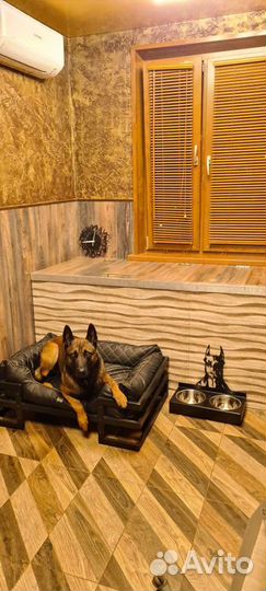 Гостиница для животных