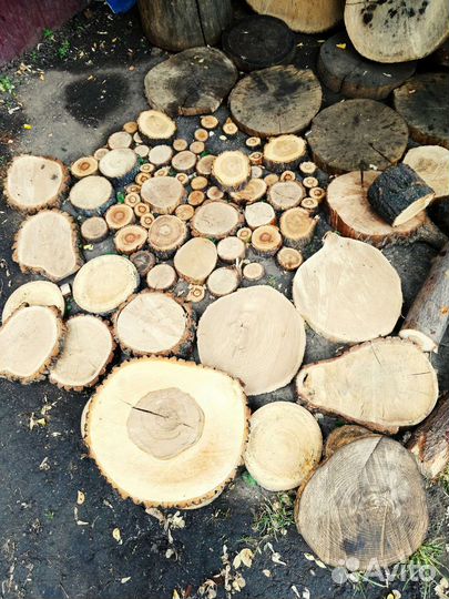 Аксессуары сосна карагач