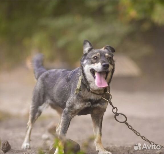 Малышка Стелла