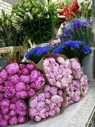 Пионы Васильки лилии букет пионов