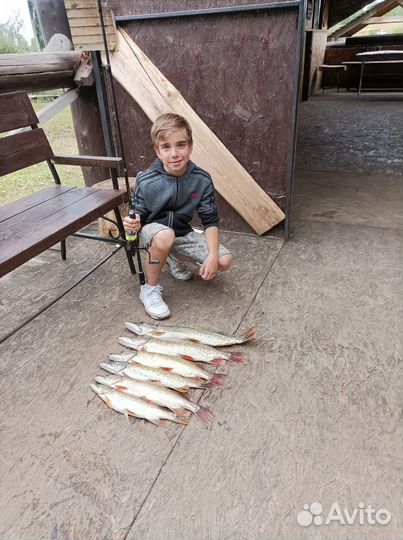 Рыбалка и отдых в Рязани