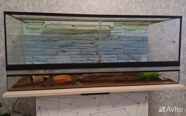Террариум большой