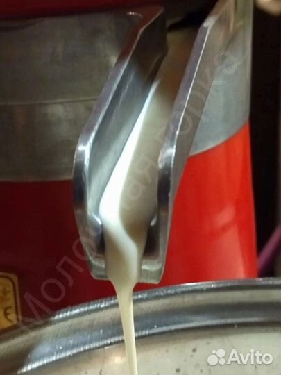 Молоко, творог, сыр