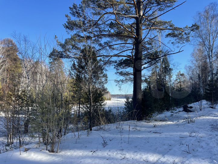 Участок 16 сот. (СНТ, ДНП)