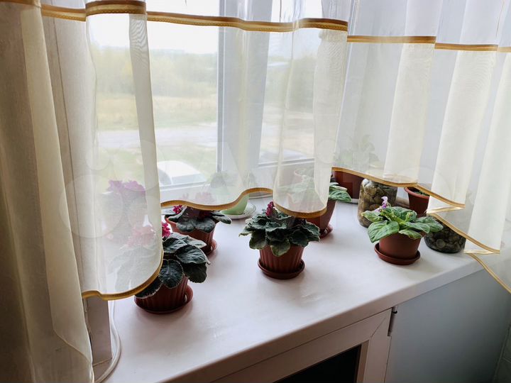 4-к. квартира, 78,5 м², 2/5 эт.